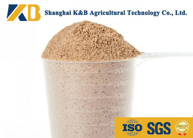OEM bột gạo nâu / thức ăn chăn nuôi sản phẩm tốt - cân bằng axit amin hồ sơ