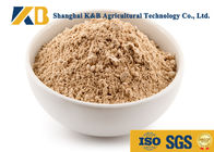 Pure Brown Rice Protein Products / Rice Based Protein Powder For Animal Feed
