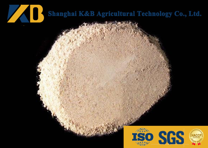 Animal Non GMO Rice Protein Powder Well - Balanced Amino Acid Profile